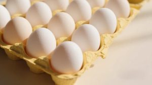 Dari Kertas Bekas Menjadi Pelindung Telur Sihir Daur Ulang di Pabrik Egg Tray